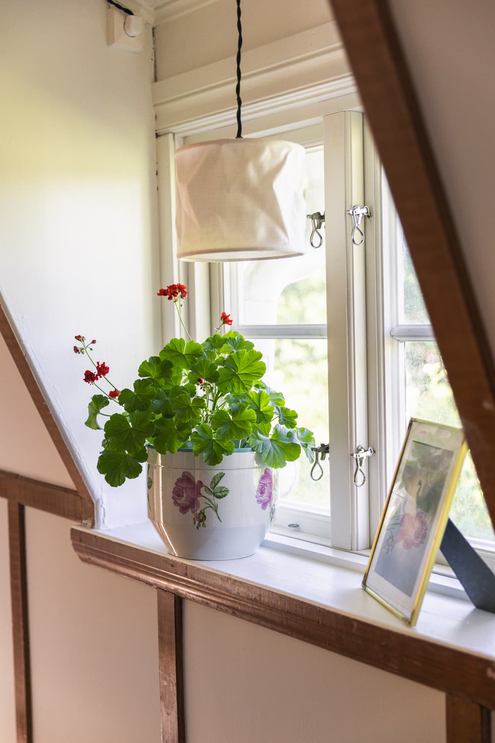 En pelargon i en blommig kruka i ett fönster under snedtaket.